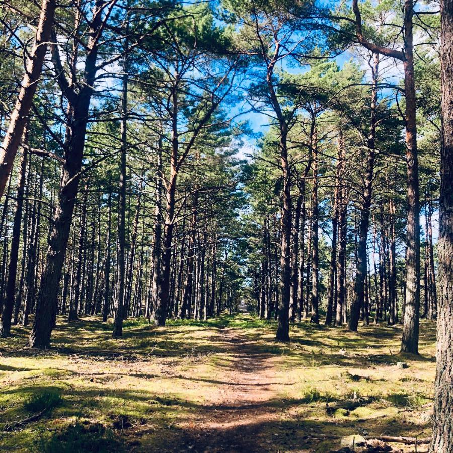 Piekny Domek Z Duzym Ogrodem Kopalino Extérieur photo